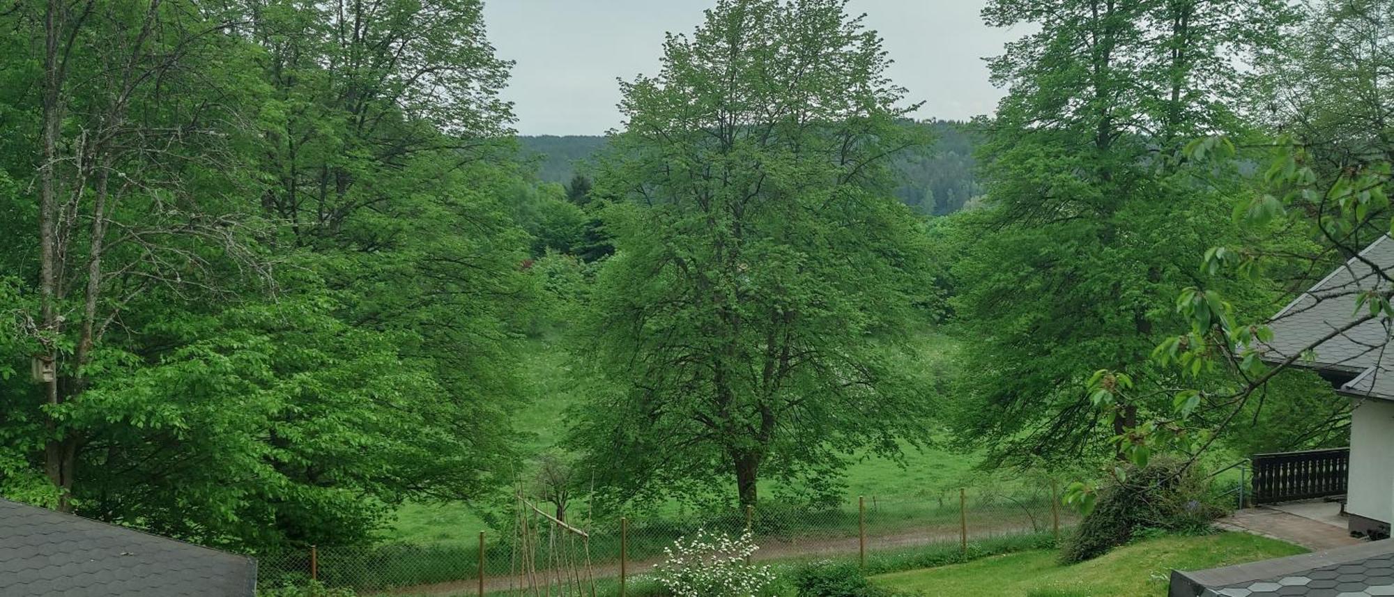 Sessles Waldhaeusschen Dietzhausen Suhl Luaran gambar