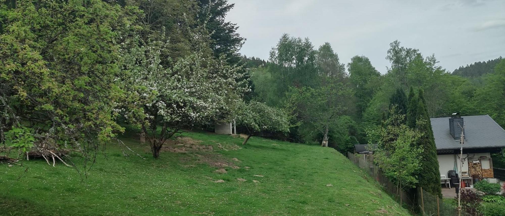 Sessles Waldhaeusschen Dietzhausen Suhl Luaran gambar