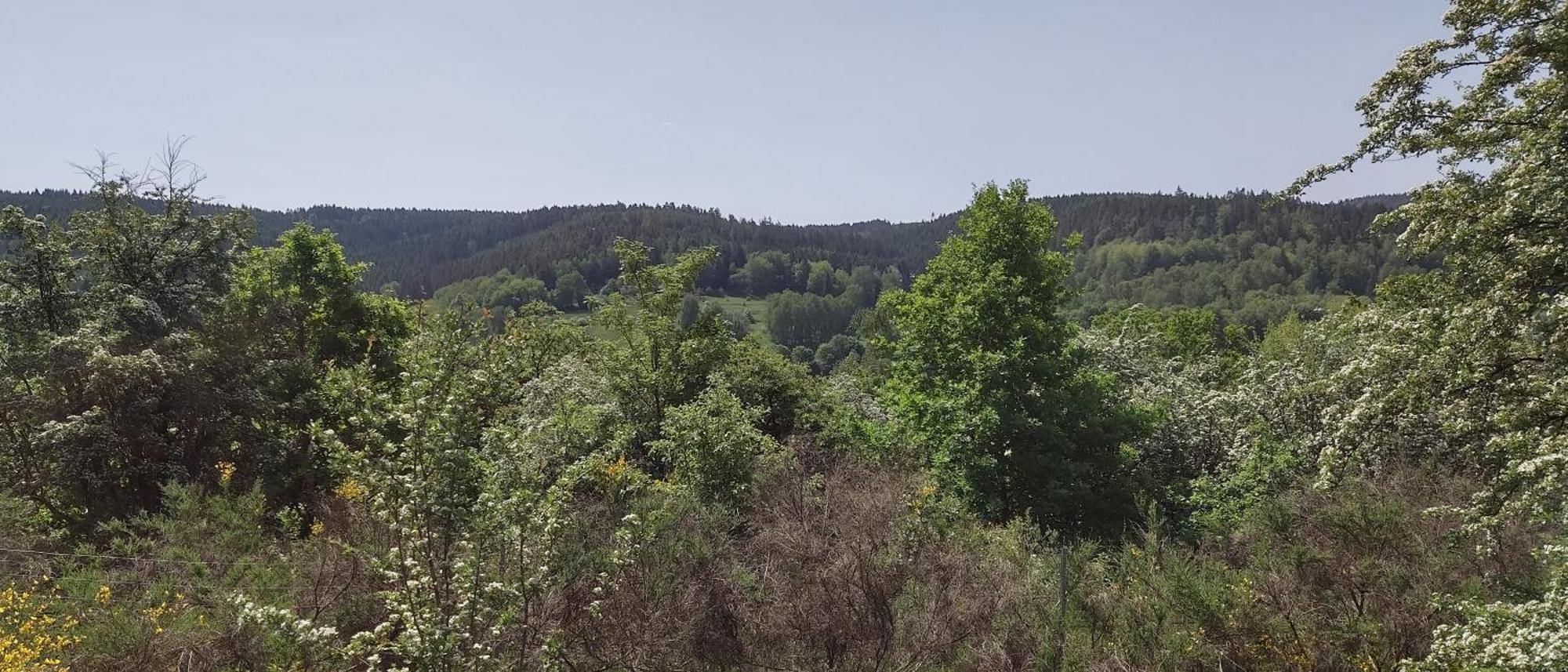 Sessles Waldhaeusschen Dietzhausen Suhl Luaran gambar