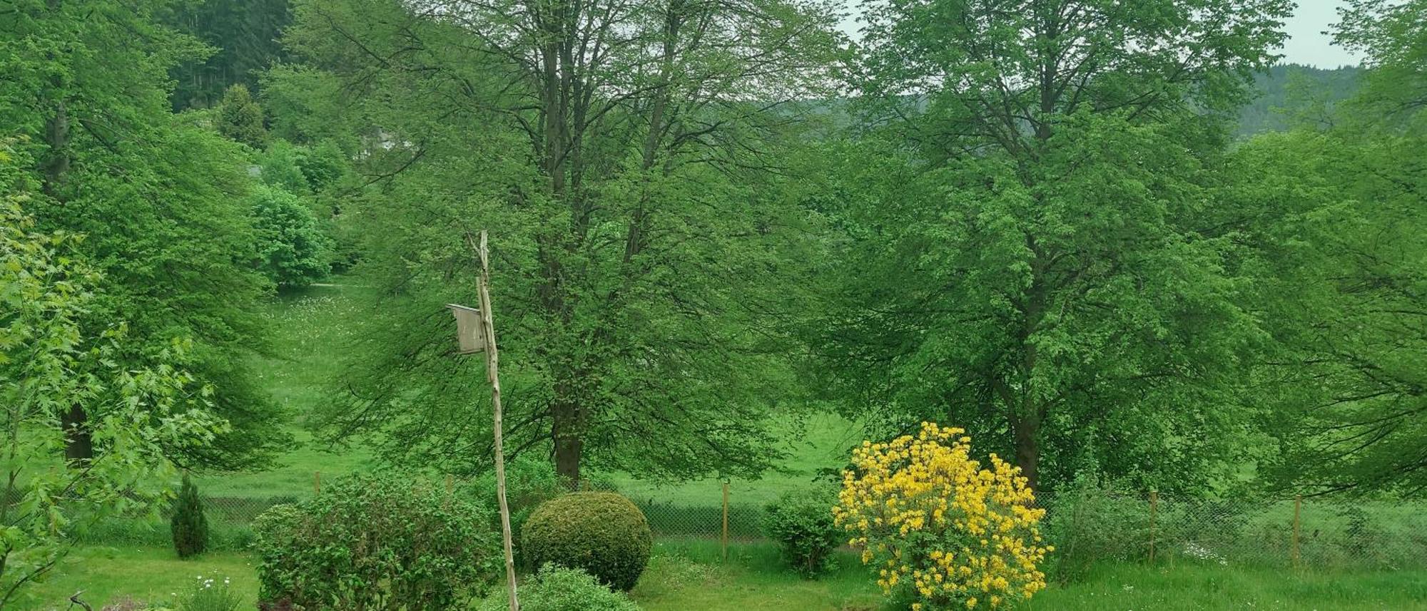 Sessles Waldhaeusschen Dietzhausen Suhl Luaran gambar